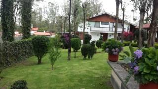 - en Montemorelos - Imagen 1
