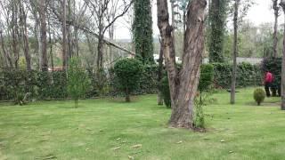 - en Montemorelos - Imagen 15