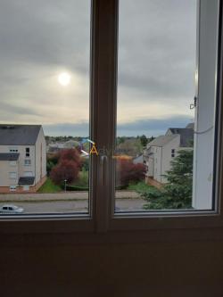   à Orléans - Photo 1