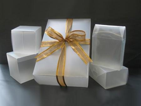 Clear Packaging Solutions Opp Bags & PVC Boxes in Sembawang - Image 5