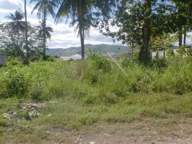 Lot For Rent In Capitol in Cebu City - Image 1