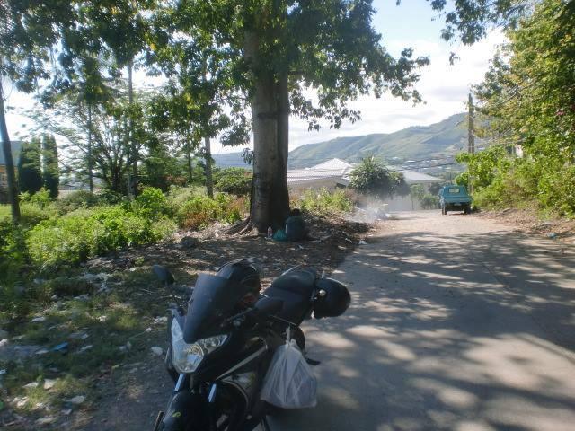 Lot For Rent In Capitol in Cebu City - Image 4