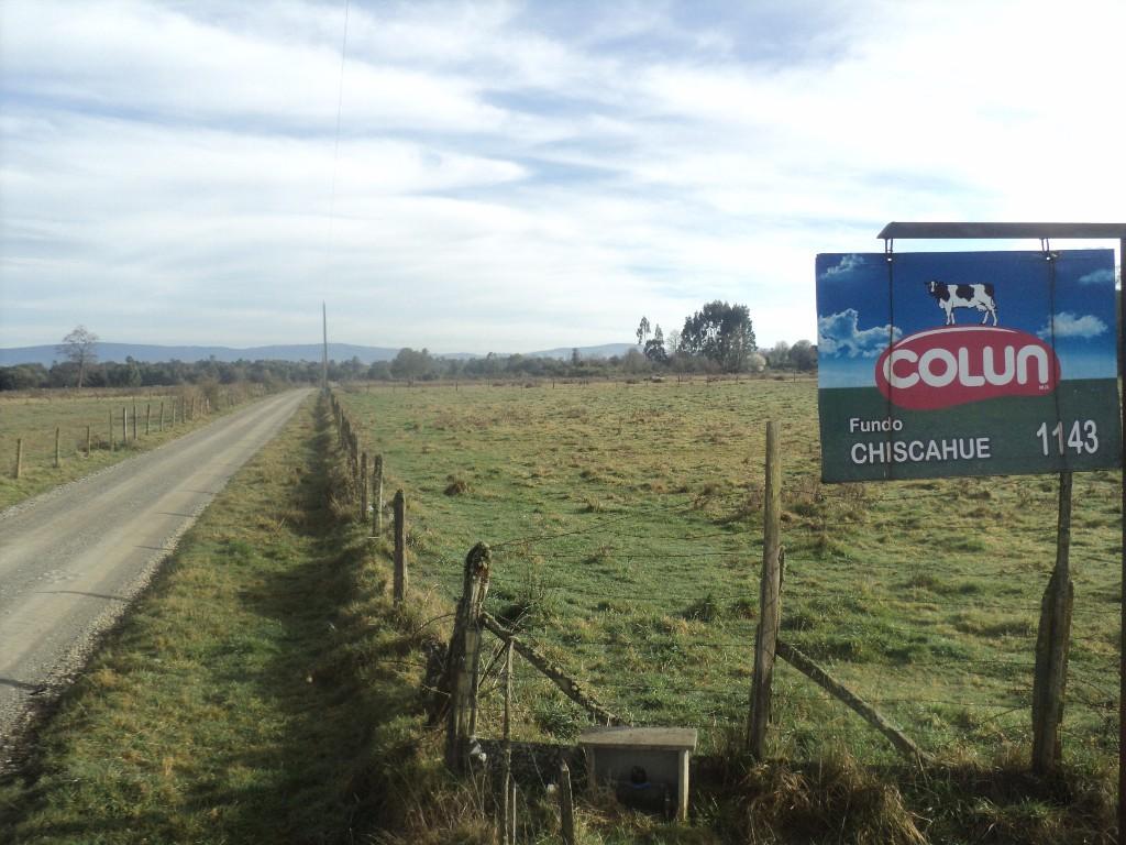 En venta parcela camino a Lago Ranco región de Los Ríos en Valdivia - Imagen 1