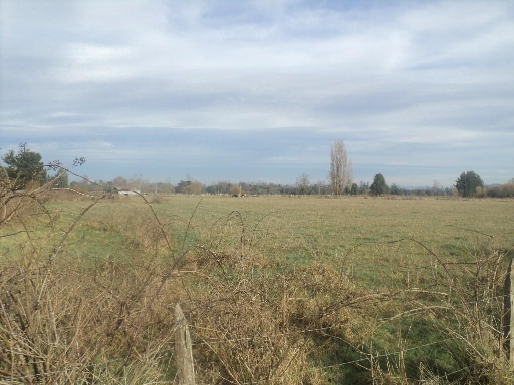 En venta parcela camino a Lago Ranco región de Los Ríos en Valdivia - Imagen 3