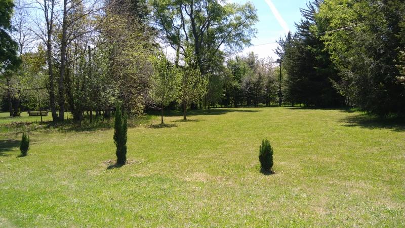 CASA PARCELA 2000MTS PLAYAS RUTA VILLARRICA A PUCON en Villarrica - Imagen 12