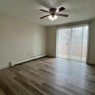 1BEDROOM 1BATHROOM AVAILABLE in Loveland - Image 4