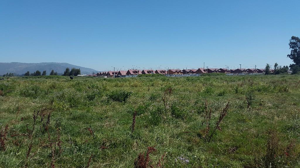 TERRENOS EN MOLINA en Molina - Imagen 4