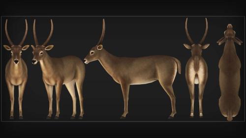 2D Animation Company in Bangalore - Image 10