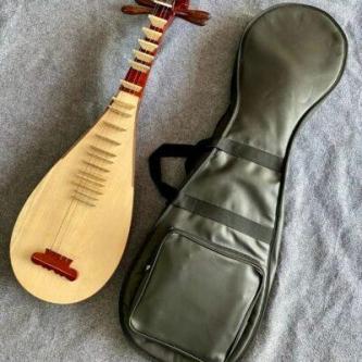 3-layer pipa case in Singapore - Image 1