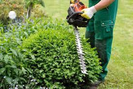HOME,CONDO , SCHOOL GARDEN SERVICES in North-Eastern Islands - Image 2