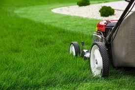 HOME,CONDO , SCHOOL GARDEN SERVICES in North-Eastern Islands - Image 3