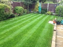 HOME,CONDO , SCHOOL GARDEN SERVICES in North-Eastern Islands - Image 4