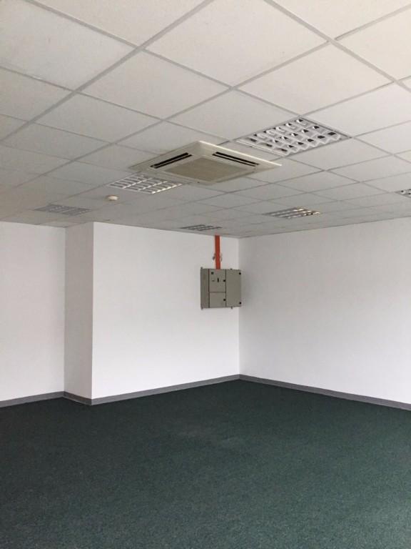R&D Lab and IT Space at Science Park II For Rent - The Alpha in Pioneer - Image 9