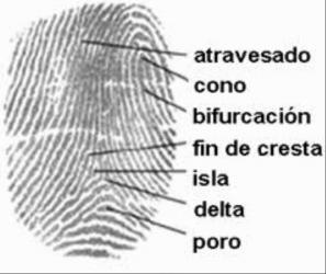 PERITO JUDICIAL GRAFOTECNICO, DOCUMENTOSCOPICO, DACTILOSCOPICO en Iquitos - Imagen 9