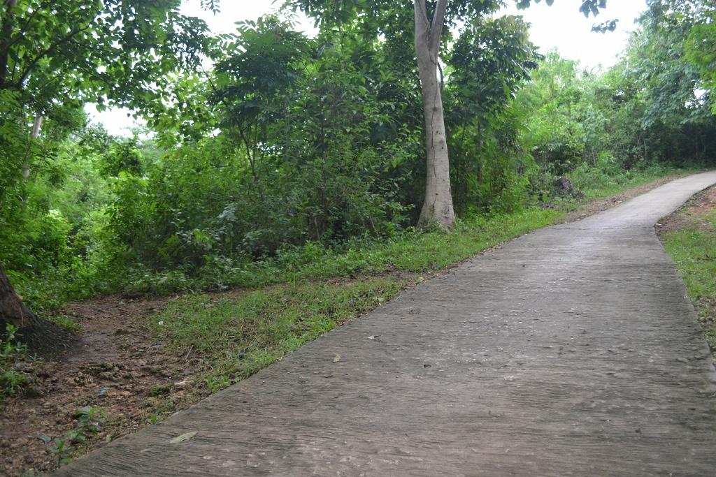 Land for Sale in Romblon in Romblon - Image 4