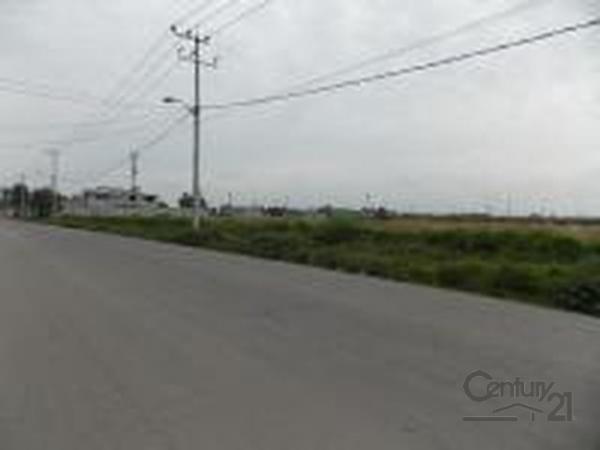 . en Toluca - Imagen 1