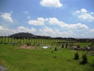 . en Metepec - Imagen 1