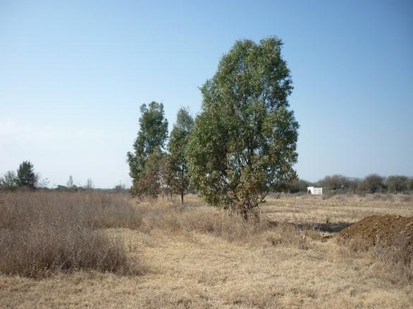 Terreno en Renta en Jesús María - Imagen 1
