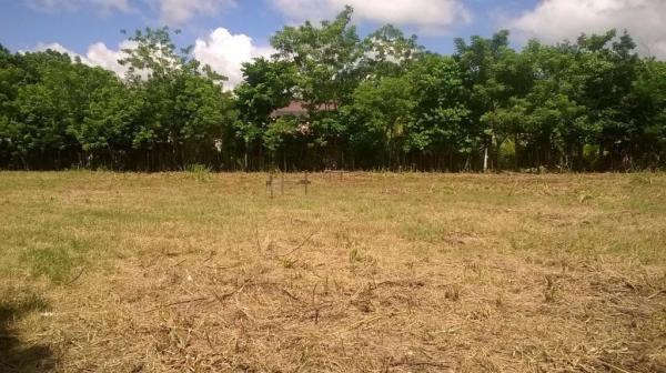 COMERCIAL TERRENO EN VENTA en Alvaro Obregón - Imagen 3