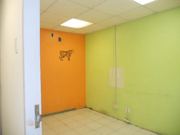 COMERCIAL BODEGA EN RENTA en Tamulté - Imagen 6