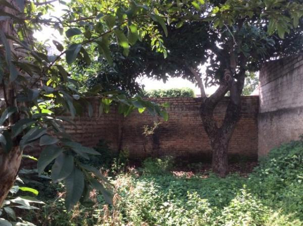 Terreno venta en Tepic - Imagen 2