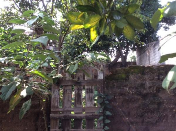 Terreno venta en Tepic - Imagen 3