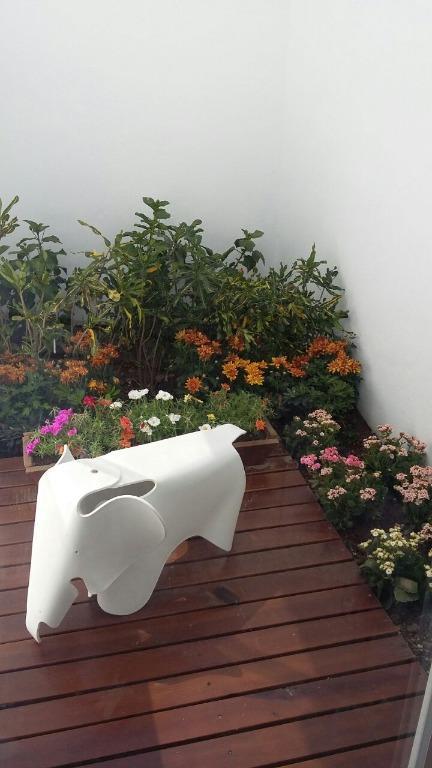 Casa venta en Tepic - Imagen 7