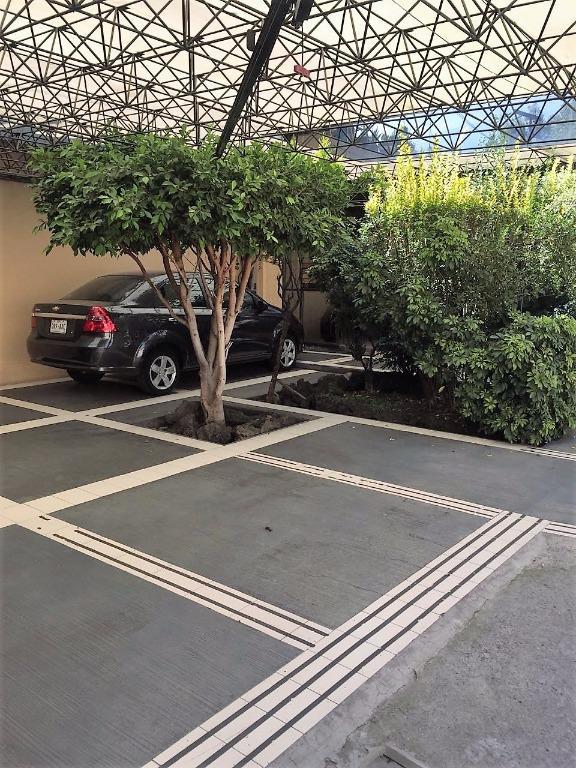 Oficinas y Bodega en Renta en Merced Gómez - Imagen 2