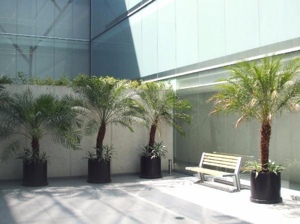 Departamento en Renta en la Colonia Polanco - Imagen 19