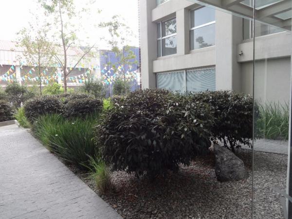 Departamento en Renta en la Colonia Mixcoac - Imagen 2