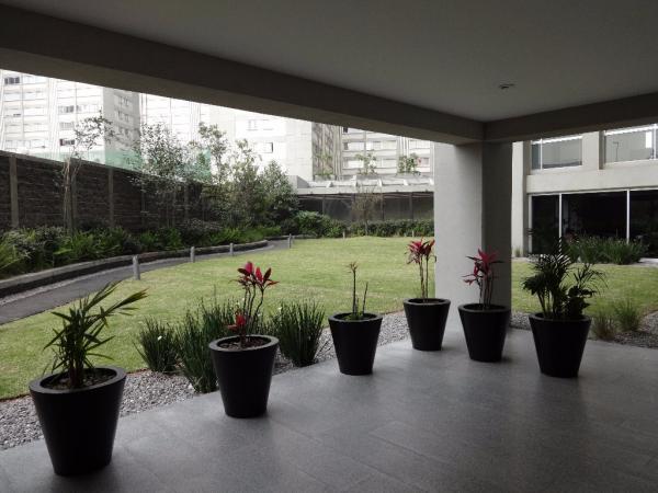 Departamento en Renta en la Colonia Mixcoac - Imagen 4