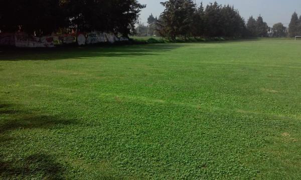 Terreno Impecable en Ensenada - Imagen 9