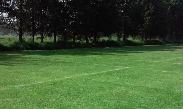 Terreno Impecable en Ensenada - Imagen 11