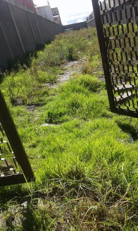 TERRENO EN METEPEC EN RENTA en Metepec - Imagen 2