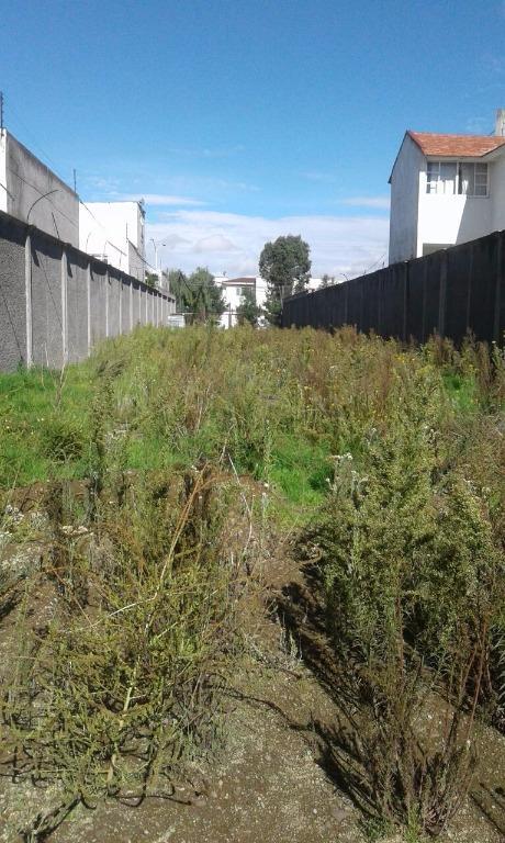 TERRENO EN METEPEC EN RENTA en Metepec - Imagen 4