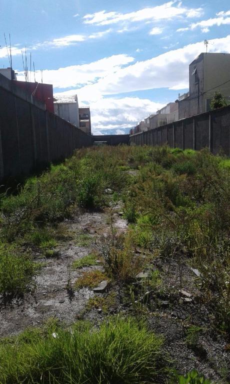 TERRENO EN METEPEC EN RENTA en Metepec - Imagen 5