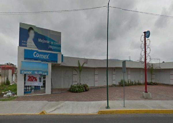 LOCALES COMERCIALES EN RENTA, ZINACANTEPEC en San Miguel Zinacantepec - Imagen 2