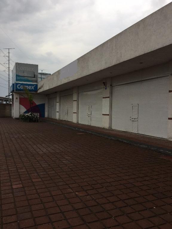 LOCALES COMERCIALES EN RENTA, ZINACANTEPEC en San Miguel Zinacantepec - Imagen 5