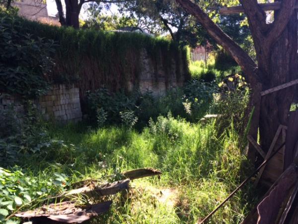 TERRENO EN RENTA en Tacubaya - Imagen 2