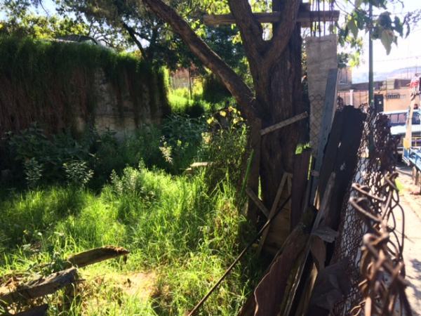TERRENO EN RENTA en Tacubaya - Imagen 3