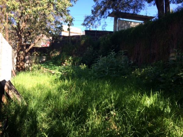 TERRENO EN RENTA en Tacubaya - Imagen 5