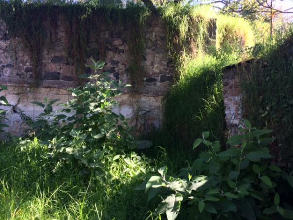 TERRENO EN RENTA en Tacubaya - Imagen 11