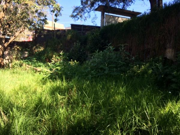 TERRENO EN RENTA en Tacubaya - Imagen 12