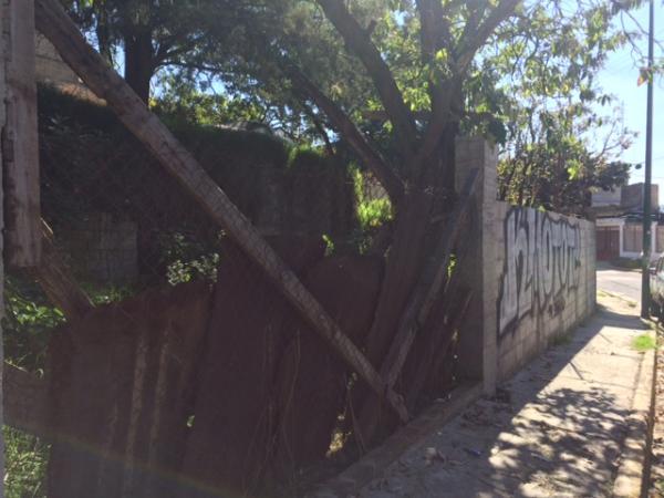 TERRENO EN RENTA en Tacubaya - Imagen 14