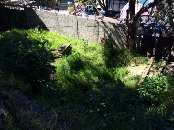 TERRENO EN RENTA en Tacubaya - Imagen 16
