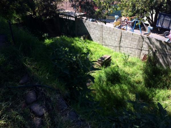 TERRENO EN RENTA en Tacubaya - Imagen 17
