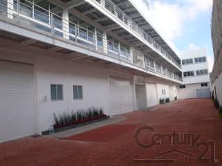 Bodegas y Oficinas en Renta Edificio ORVI en Atlacomulco - Imagen 7