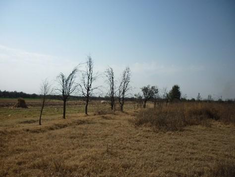 Terreno en Renta en Jesús María - Imagen 2