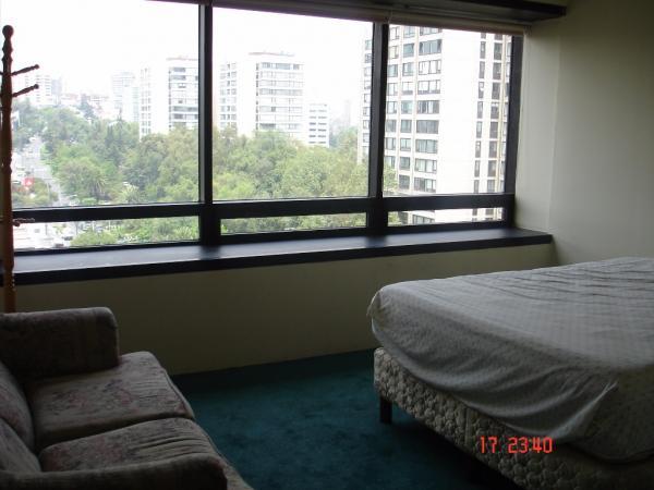 DEPARTAMENTO EN RENTA en la Colonia Polanco - Imagen 8