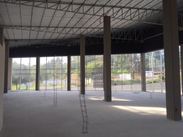 LOCALES COMERCIALES EN RENTA SOBRE AVENIDA PRINCIPAL en Tlaxcala - Imagen 4